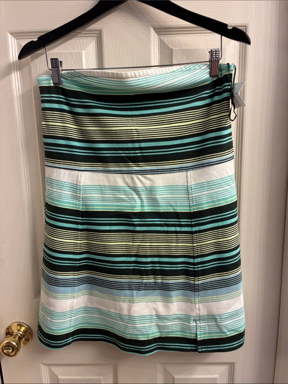 Striped Knit A-Line Skirt in Aqua and Black
